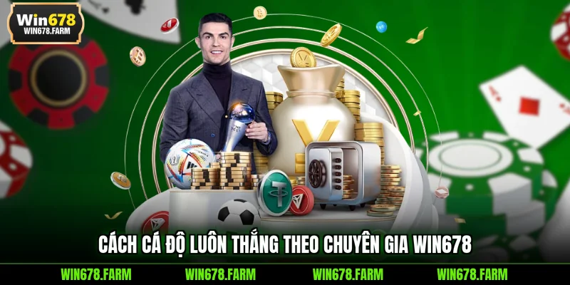 Cách cá độ luôn thắng theo chuyên gia WIN678