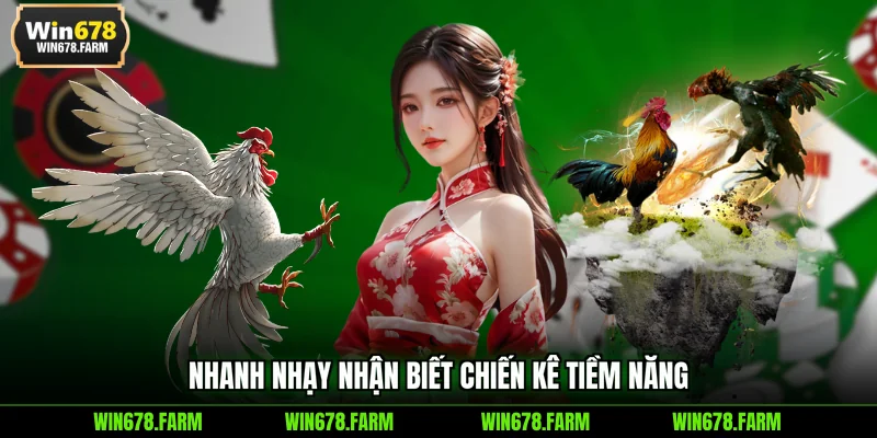 Nhanh nhạy nhận biết chiến kê tiềm năng