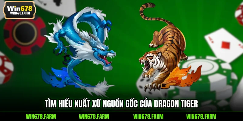 Tìm hiểu xuất xứ nguồn gốc của Dragon Tiger
